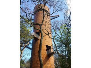 Casa per le vacanze Appelscha Ambiente 22