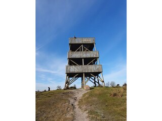 Vakantiehuis Appelscha Omgeving 28