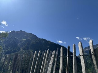 IMG_8305