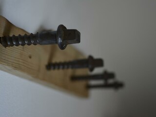 _DSC6575