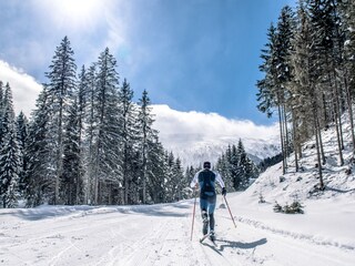 Casa per le vacanze Bad Hofgastein Ambiente 31