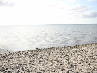 Nationalpark Wattenmeer