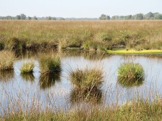 Naturlandschaft Ewige Meer