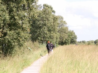 Bohlenwanderweg Ewige Meer