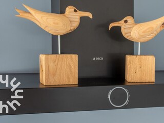 Holiday house Domburg Features 9