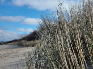 Traumhafter Strand