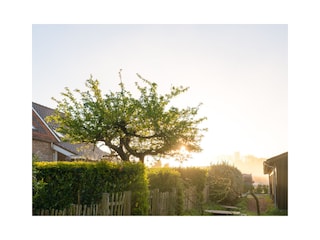 Holiday house Veere Environment 14