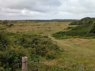 Ferienhaus Blokhus  37