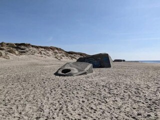 Vakantiehuis Søndervig  41