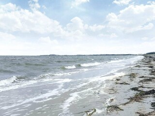Vakantiehuis Trend  21