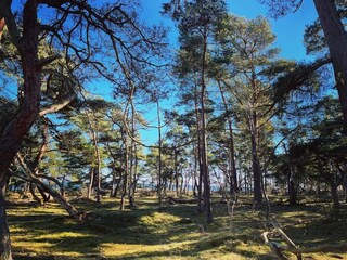 Holiday house Halltorp  17