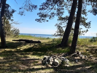 Holiday house Halltorp  22