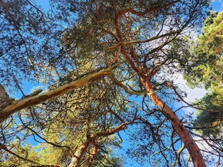 Ferienhaus Halltorp  27