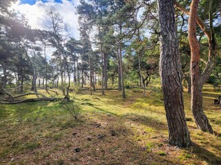 Vakantiehuis Halltorp  23