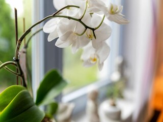 Appartement Medebach  36