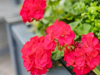 Apartamento Medebach  33