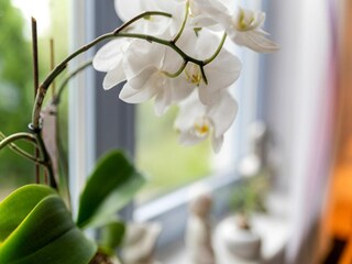 Appartement Medebach  32