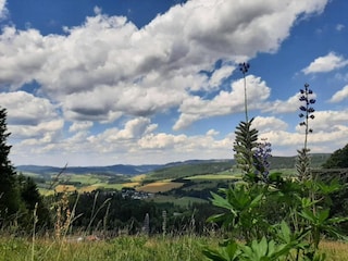 Apartment Medebach Environment 28