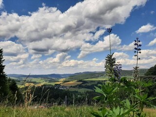 Appartamento Medebach Ambiente 29