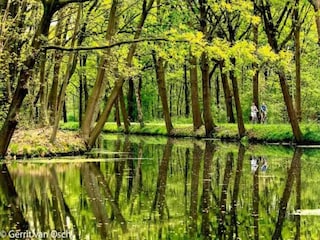 Ferienpark Geijsteren Umgebung 9