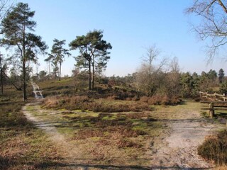 Ferienpark Geijsteren Umgebung 18