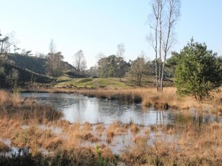 Parc de vacances Geijsteren Environnement 20