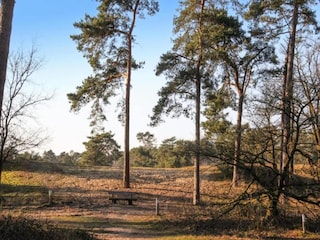 Ferienpark Geijsteren Umgebung 20