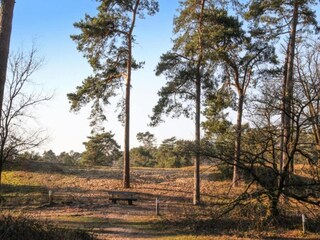 Ferienpark Geijsteren Umgebung 26