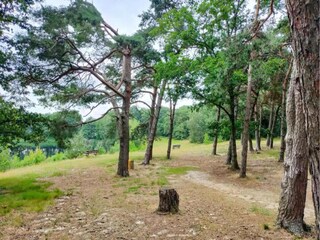 Parc de vacances Geijsteren Environnement 26