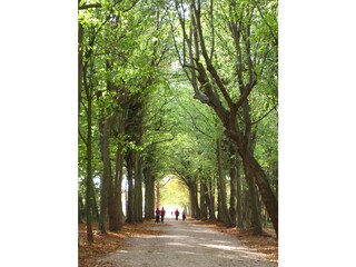 Vakantiehuis Grijpskerke Omgeving 15