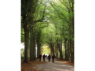 Vakantiehuis Oostkapelle Omgeving 22
