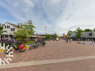 Ferienwohnung Renesse Umgebung 18