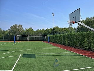 basketball court