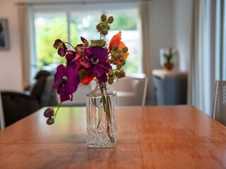 Maison de vacances Grolloo  35