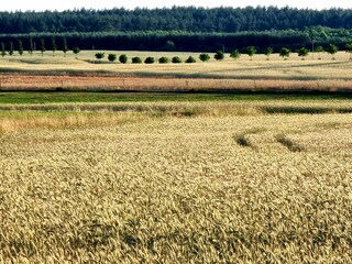 unsere mecklenburger Landschaft