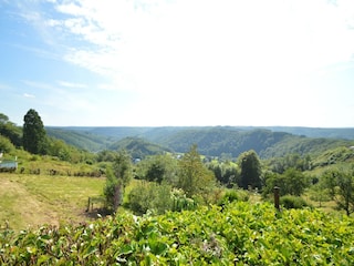 Ferienhaus Vresse-sur-Semois Außenaufnahme 5