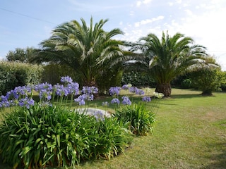 Ferienhaus Brignogan-Plage Außenaufnahme 3