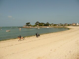 Maison de vacances Brignogan-Plage Environnement 27