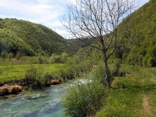 Appartement Pješčana Uvala Environnement 24