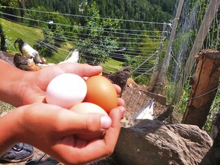 Appartamento Villnöss Ambiente 23