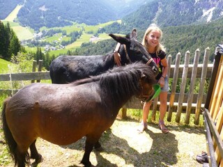 Apartamento Villnöss Entorno 29