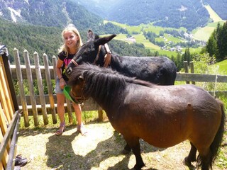 Appartamento Villnöss Ambiente 34