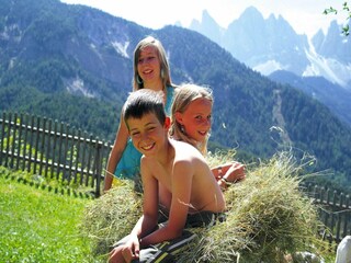 Appartamento Villnöss Ambiente 35