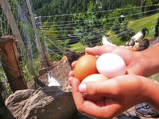 Apartamento Villnöss Entorno 36