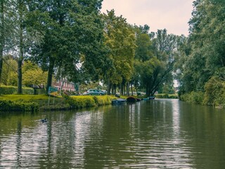 Parque de vacaciones Medemblik Entorno 17