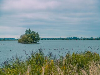 Parque de vacaciones Medemblik Entorno 12