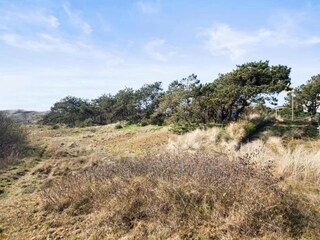 Holiday park Callantsoog Environment 21