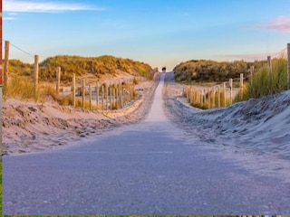 Vakantiepark Callantsoog Omgeving 28