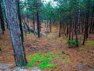 Parc de vacances Schoorl Environnement 23