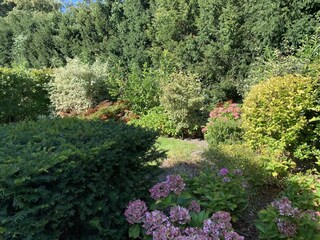 Vakantiepark Schoorl Buitenaudio-opname 7
